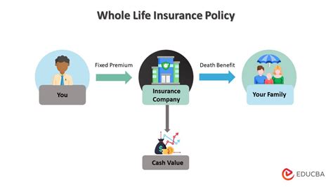 how does lv insurance work.